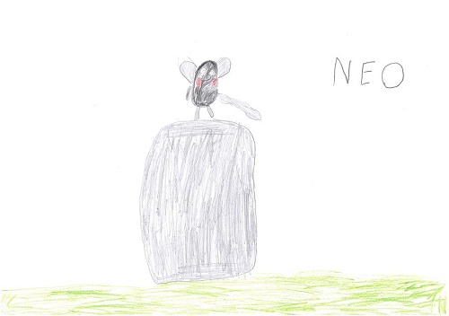 Neo, 6 Jahre